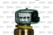Yag Musuru 307-308-407-508-807-Expert Iıı-C4 I-C4 Pıcasso-C5 Iı-Iıı-C8-Jumpy- 2.0I Ew10